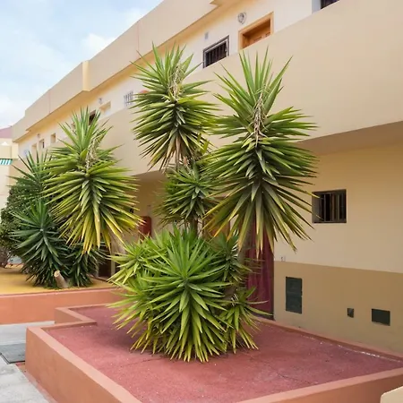 Appartement Mareverde *